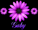 Gaby