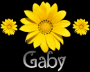 Gaby