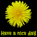 Have a nice day