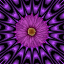 purple flower
