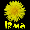 Irma