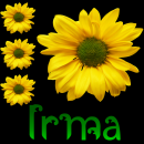 Irma