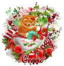 Connie - Strawberry Cat 