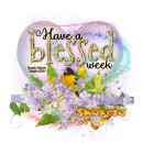 Blessed Week ~ Shakela