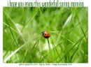 hope you enjoy this wonderfull spring morning, nature,seasonal