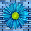 blue flower