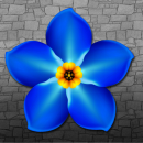 blue flower