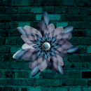 blue flower