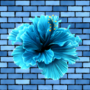 blue flower