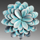 blue flower