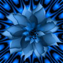 blue flower
