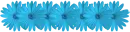 blue flowers