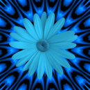 blue flower