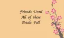 Friends Until the Last Petal Falls