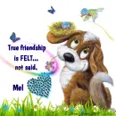 Mel - Friendship - Dog - Flowers