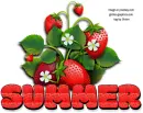 SUMMER, STRAWBERRIES, SEASONAL