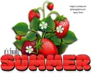 it's finally summer, STRAWBERRIES, SEASONAL ,SUMMER