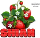 SHIAN, STRAWBERRIES, NAMES, PERSONAL