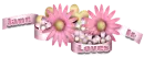 Pretty flowers - Jane