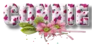 Pink Flowers - Connie