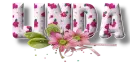 Pink Flowers - Linda