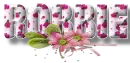 Pink Flowers - Robbie
