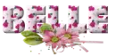 Pink Flowers - Belle