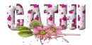 Pink Flowers - Cathi