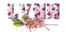 Pink Flowers - Lynn