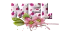Pink Flowers - Mel