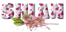 Pink Flowers - Shian