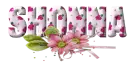 PInk Flowers - Shonna