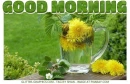 GOOD MORNING, FLOWERS, DANFELIONS, TEA, GREETINGS