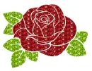 rose