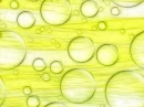 YELLOW & GREEN BACKGROUND, SUMMER, NATURE, BUBBLES