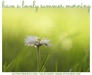 have a lovely summer morning, DAISY, NATURE, GREETINGS