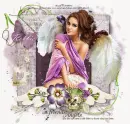 Like Angels_Robbie