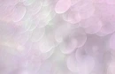  PINK MULTI, BACKGROUNDS, PINKS, ABSTRACTS, PASTELS