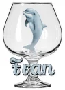DOLPHIN IN A GLASS FOR FRAN, NAMES, PERSONAL, ANIMALS