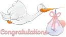 Congratulations, STORK, BABIES, BABY GIRL, CONGRATULATIONS