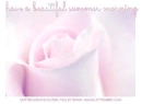 have a beautifull summer morning 