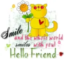 Smile (Hello Friend Cat)
