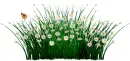 LONG GRASS DIVIDER