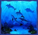 Dolphins