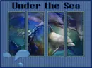 Under The Sea (Dolphins & Fish)