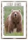 I LOVE BEARS, ANIMALS  WINE GLASS, BEARS