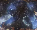 Space cat