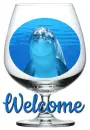 Welcome, DOLPHIN IN A GLASS, GG RELATED, TEXT
