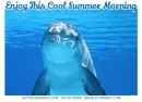 Enjoy This Cool Summer Morning, DOLPHINS, UNDERWATER, ANIMATED