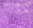 TumbleForYouAmethyst
